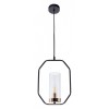 Подвесной светильник Arte Lamp Celaeno A7004SP-1BK