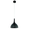 Подвесной светильник Arte Lamp Pendants 2 A9077SP-1BK