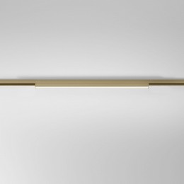 Накладной светильник Elektrostandard  85527/01