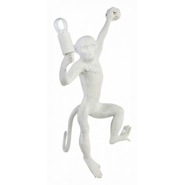 Накладной светильник EVOLUCE Tenato SLE115111-01