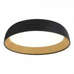 Накладной светильник EVOLUCE MUSE SLE1812-402-01