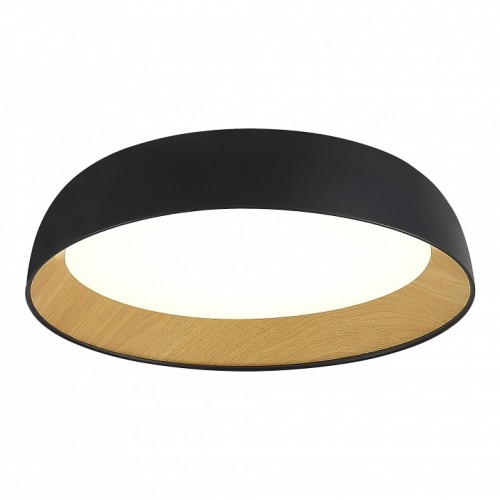 Накладной светильник EVOLUCE MUSE SLE1812-402-01