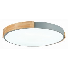 Накладной светильник EVOLUCE Delia SLE201372-01