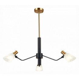 Люстра на штанге EVOLUCE Lita SLE205403-03