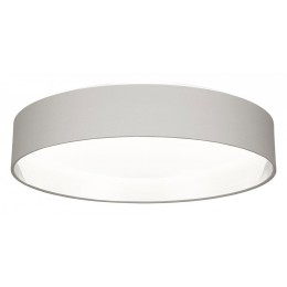 Накладной светильник EVOLUCE Brescia SLE300512-01