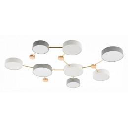 Накладной светильник EVOLUCE Dossena SLE600102-08