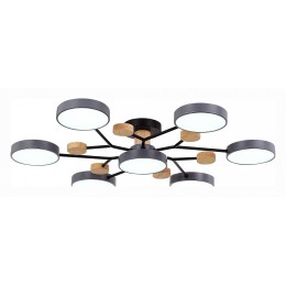 Потолочная люстра EVOLUCE Faema SLE6006-702-07