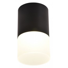 Накладной светильник Favourite Naram 3070-1C