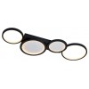 Накладной светильник Favourite Neumel 4700-4C