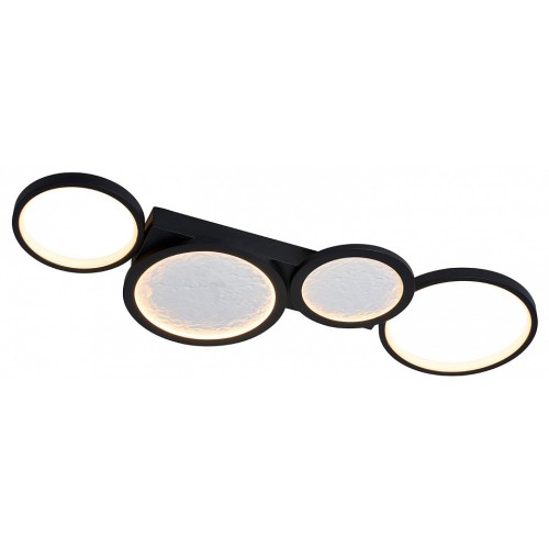 Накладной светильник Favourite Neumel 4700-4C
