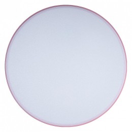 Накладной светильник Loft it Axel 1 10002/24 Pink