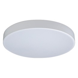 Накладной светильник Loft it Axel 1 10002/24 White