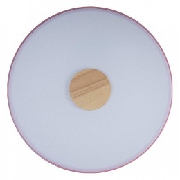 Накладной светильник Loft it Axel 2 10003/24 Pink