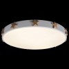 Накладной светильник Loft it Axel 5 10006/36 White