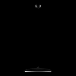 Подвесной светильник Loft it Plato 10119 Black