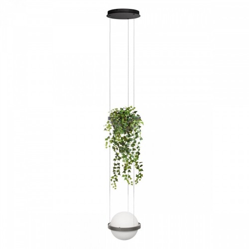 Подвесной светильник Loft it Jardin 10121/1P Dark grey