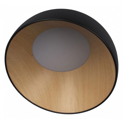 Накладной светильник Loft it Egg 10197/350 Black