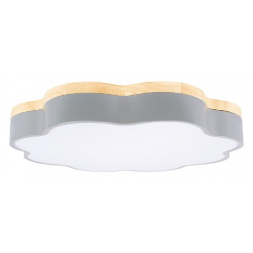 Накладной светильник Loft it Axel 10225/36 Grey