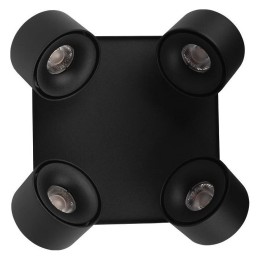 Спот Loft it Case 10326 Black