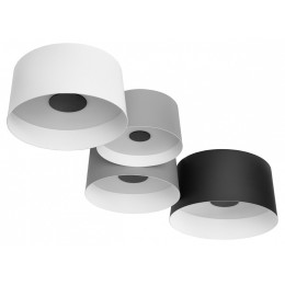 Потолочная люстра Loft it Duo 10360/4