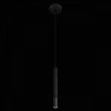 Подвесной светильник Loft it Everest 10583C Black