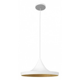 Подвесной светильник Loft it Beat LOFT1844/C