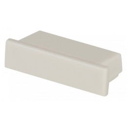 Заглушка для профиля Maytoni  ALM002EC