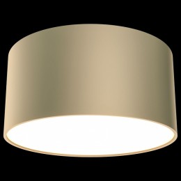 Накладной светильник Maytoni Zon C032CL-L12MG4K