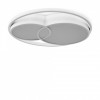 Накладной светильник Freya  FR10029CL-L70W
