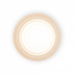 Накладной светильник Freya Retro FR5603WL-L8W1