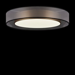 Накладной светильник Freya Zoticus FR6005CL-L48G