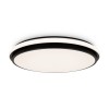 Накладной светильник Freya Pie FR6086CL-L117B