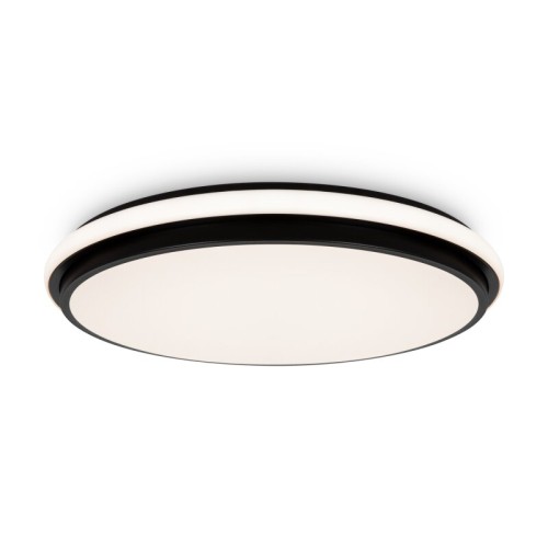 Накладной светильник Freya Pie FR6086CL-L117B