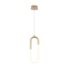 Подвесной светильник Freya Magnet FR6106PL-L13B