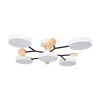 Накладной светильник Freya Beady FR6110WL-L15B