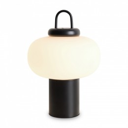 Настольная лампа декоративная Freya Take FR6175TL-L10B