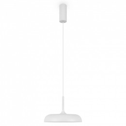 Подвесной светильник Maytoni Gerhard MOD189PL-L12W3K1