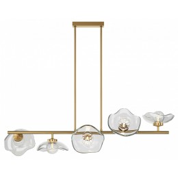 Люстра на штанге Maytoni Miracle MOD207PL-05BS