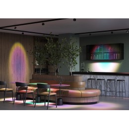 Светильник на штанге Maytoni Lens TR217-4-15WTW-DS-B