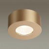 Накладной светильник Odeon Light Bene 4284/7CL