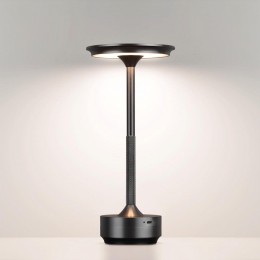 Настольная лампа декоративная Odeon Light Tet-A-Tet 5034/6TL
