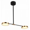 Светильник на штанге ST-Luce Farone SL1605.403.02