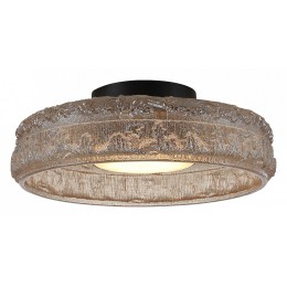 Накладной светильник ST-Luce ANTIKE SL6143.422.01