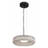 Подвесной светильник ST-Luce ANTIKE SL6143.423.01