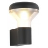 Светильник на штанге ST-Luce Drop SL9541.701.01