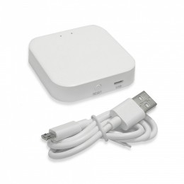 Конвертер Wi-Fi для смартфонов и планшетов ST-Luce AROUND ST015.500.97H