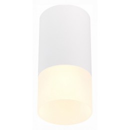 Накладной светильник ST-Luce ST100 ST100.512.01