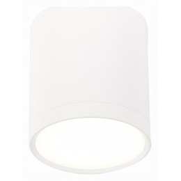 Накладной светильник ST-Luce Rene ST113.542.05