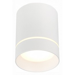 Накладной светильник ST-Luce ST115 ST115.542.07