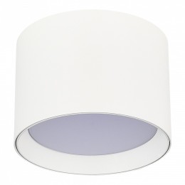 Накладной светильник ST-Luce  ST163.502.01.02